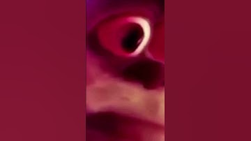 Gamer Girl 🤣🤣🤣  #gifs #memes #instantregret #girls #gaming