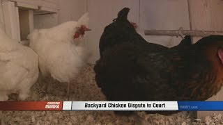 Backyard Chicken Dispute in Court