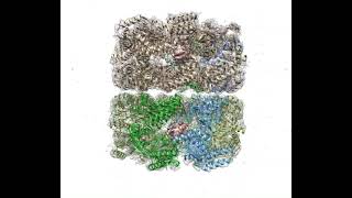 Cryo-Em Reconstruction Of A Groel Molecule Containing Platinum Nanoparticle