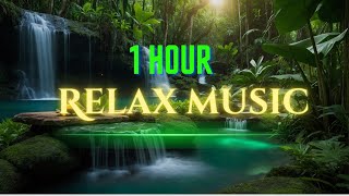 Relaxing Music | Piano Music | Spa, Study, Work, Sleep, Stress Relief  & Deep Focus #relaxationmusic