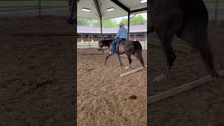 Horse Training | Pat Puckett’s Pole Exercise | Tennessee Walking Horses