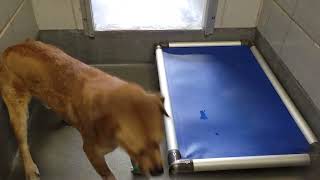 acs A669957