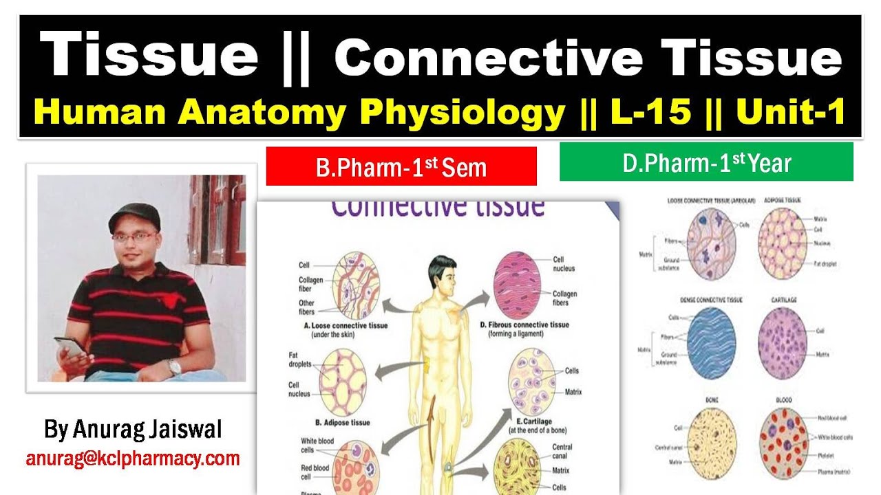Connective Tissue || HAP-Unit-1 || L-15