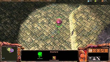 StarCraft 2 Zerg Mutalisk Rush