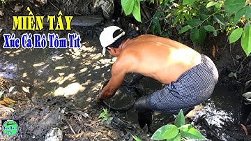 lần đầu tiên thấy bắt cá rô tôm tít ở miền tây | NGÃ NĂM TV