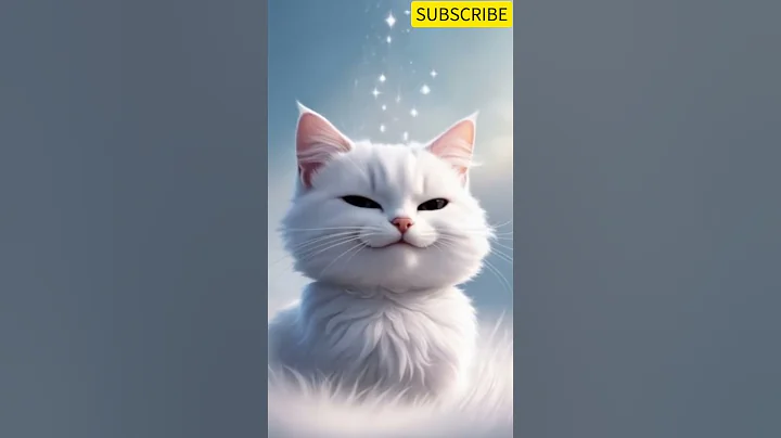 Video 7856981: britishshorthair pets funny cats, britishshorthair cat animals funny, cat dog animals pets, white kitten, cute cat