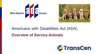 Overview of Service Animals