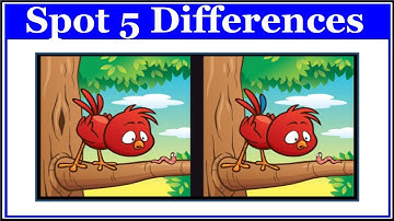 Spot 5 Differences 🔍 Can You Find Them All? Brain Teaser | Chikooberry