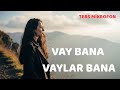 Vay Bana Vaylar Bana Hepimizin Dalıp Gittiği O Anlar Müzik Arabesk Türküler