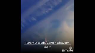 param olsaydi/zengin olsaydim ali ersin varol bu muhtesem eser fecri ebcioglu imzali Resimi