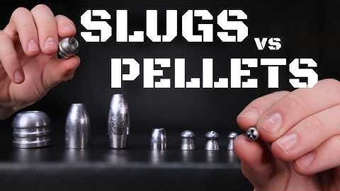 Pellets vs. Slugs | Which is Best For You?