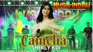 CAMELIA - Sherly KDI - OM NUSA INDAH Live Kec. Pangarengan Sampang (OFFICIAL LIVE MUSIC)