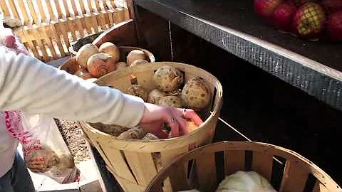Candace Wormsbecker, Transpire Organic