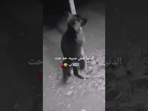 الحاجه مره