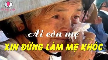 Ai Còn Mẹ Xin Đừng Làm Mẹ Khóc - Lời Hay Ý Đẹp Về Mẹ