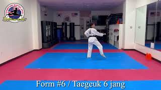 Form #6 / Taegeuk 6 jang / Purple Belt (Mirror Mode)