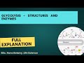 Glycolysis Made Simple 🔬 | Step-by-Step Pathway with Structure | Quick Revision