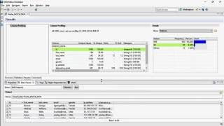 Informatica Data Quality on Informatica Developer (Power Center Express)