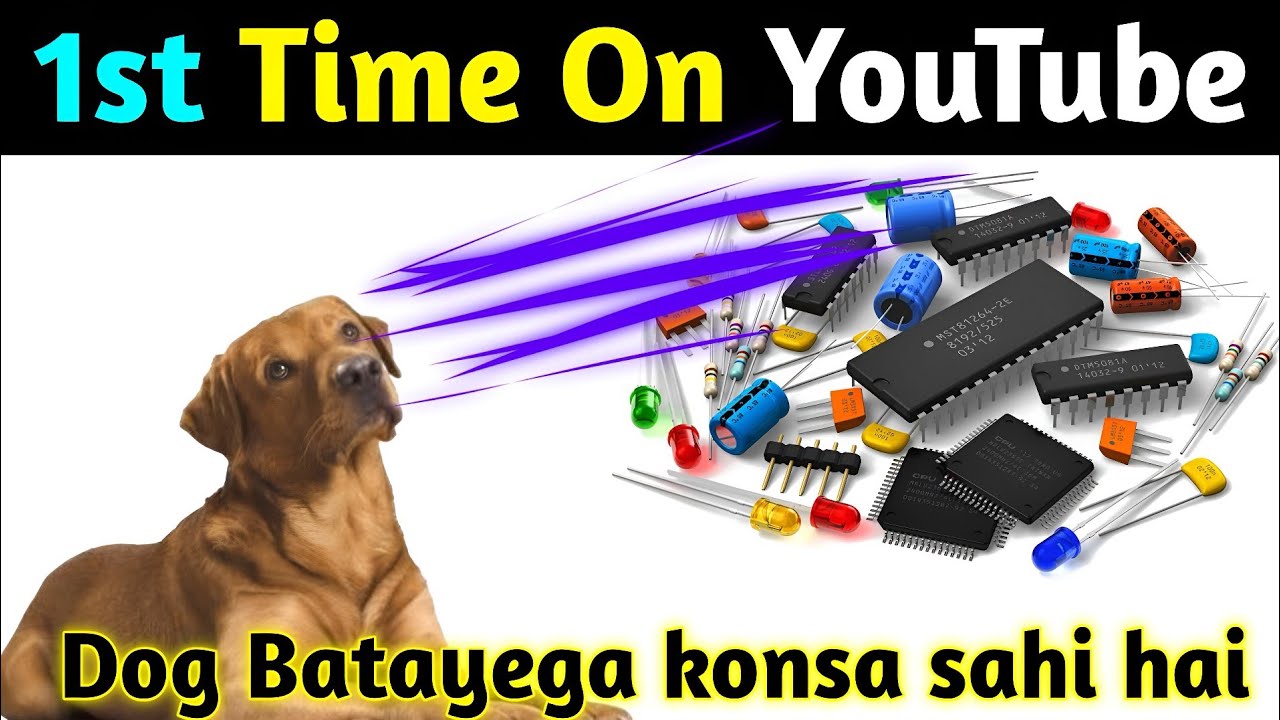 How to make a Multimeter at home | Test Electronic Components With Dog ...