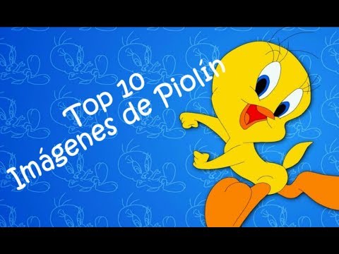 Featured image of post Piolin Frases Bonitas En frases bonitas hemos compartido un mont n de frases famosas que pertenecen a distintas personalidades a las que admiramos por todo lo que nos han ense ado y de las que todav a