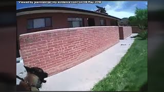 Police K9 attacks wrong man; man sues APD