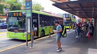 SG1872G Sv 858. Departing Opp Yishun MRT Stn. MAN A22 Euro 6. Single Deck Bus. 03/05/26. SG❤️BUS