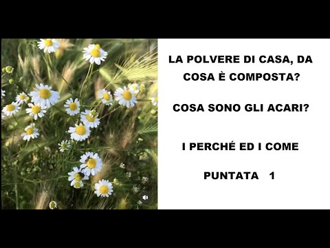 Video: Cos'è la polvere? Cos'è la polvere?