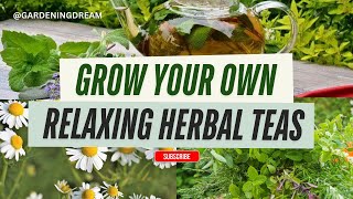10 Calming Herbal Tea Plants to Grow at Home for Ultimate Relaxation