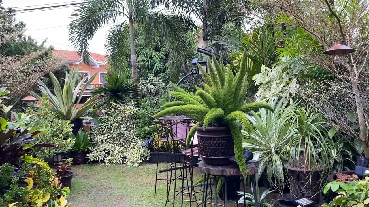 Garden Coffee Talk #23 || Garden tour sharing beautiful development our plants and new plants.