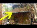 Förster stolpert über seltsame Hütte im Wald und findet darin etwas Unheimliches