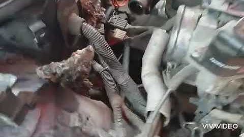 Vw Pointer daño en harness de ECT, harness dañado TPS, y CMP