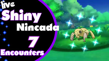 [Bug Week] Shiny Nincada 7 Encouters  + Evolution