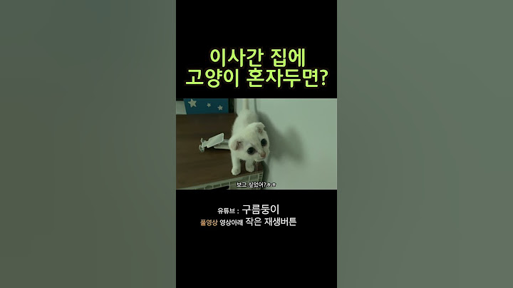 이사간 집에 아기고양이 혼자두면