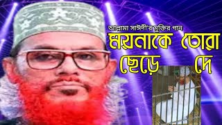 সাঈদী হুজুরের মুক্তির গান। সব পাখিরা উরে বেরায়। সাঈদীকে নিয়ে গজল। সুর হুজাইফা।