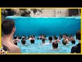 10 Piscinas Más Aterradoras