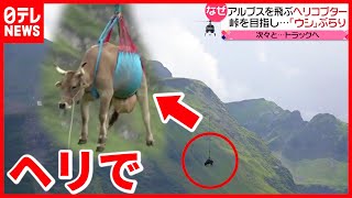 【ナゼ？】アルプス山脈をヘリで