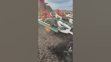 Marion is chisel plowing after 20 years of no-till find out why at http://calmerresearchfarms.com