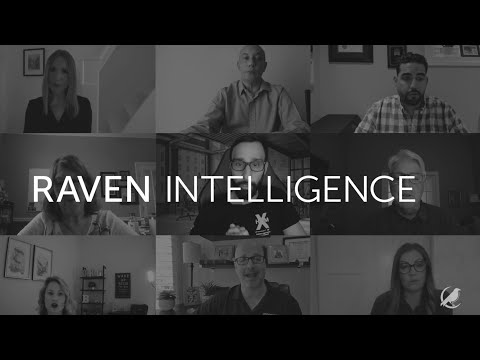 Raven Intelligence Video: Customers Talk About Their Success