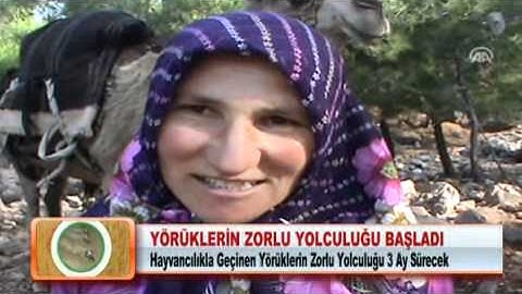 Yörüklerin zorlu yolculuğu başladı