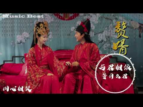 赘婿插曲 与君相依 等什么君 歌词 動態歌詞 Lyrics Video 歌詞字幕 动态歌词Lyrics