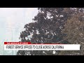 Trump administration closes several California Forest Service offices