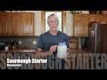 Sourdough Starter Management