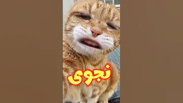 نجوى نوجه ام دم خفيف اسم نجوى 
