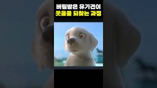 버림받았던 유기견이 웃음을 되찾는 과정