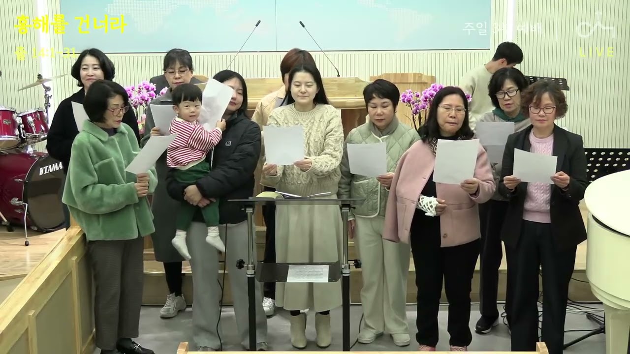 [2026 여전도회 헌신예배] 특송(복음 위해 살리라)