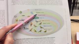 Chapter 3 Sticky Notes pgs. 47-66 SA