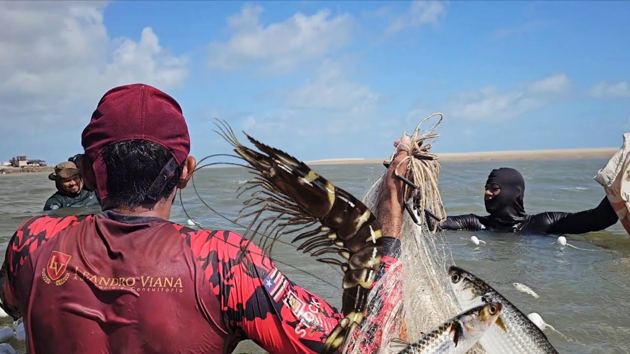 REDE LOTADA DE TAINHAS NESSE LAGO NA PRAIA DE RAPOSA.