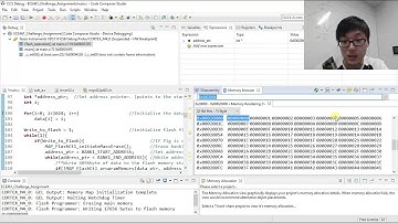 NCSU ECE461 MSP432 Flash memory write