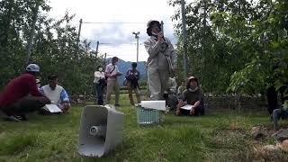 20230525長野県果樹研究会リンゴ部会1404〜高密植栽培現地検討会