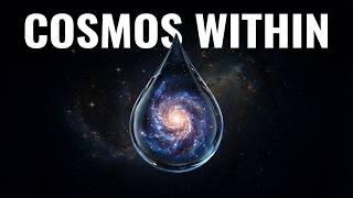 A Universe Hidden Inside a Single Drop of Water | MicroMystery Universe